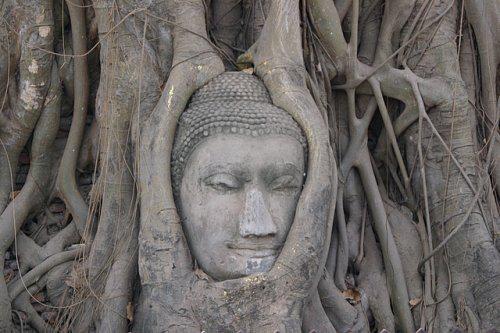 Lansing Buddhist Association